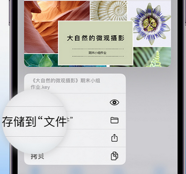 平房apple维修中心分享iPhone文件应用中存储和找到下载文件