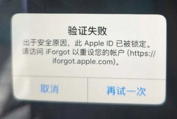 平房iPhone维修分享iPhone上正常登录或使用AppleID怎么办 