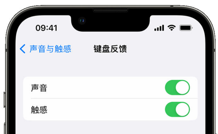 平房苹果手机维修分享iPhone 14触感键盘使用方法 