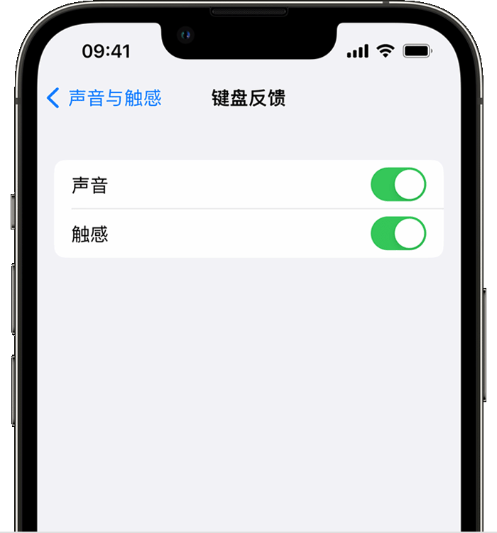 平房苹果14维修店分享如何在 iPhone 14 机型中使用触感键盘 