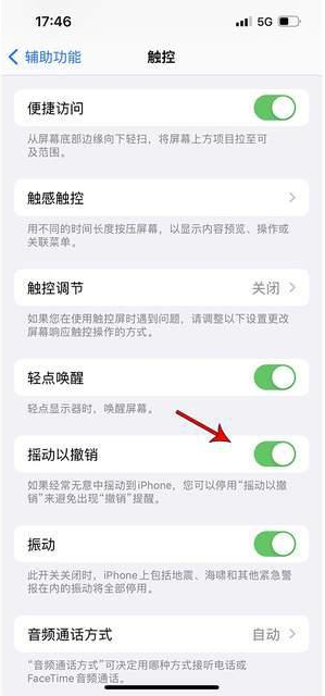 平房苹果手机维修分享iPhone手机如何设置摇一摇删除文字 