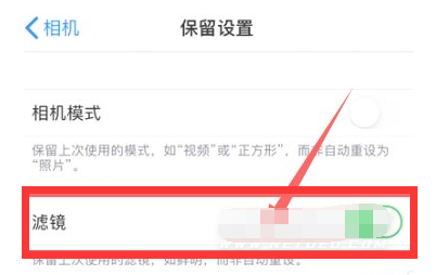 平房苹果13维修分享iPhone13拍照有绿点是怎么回事 