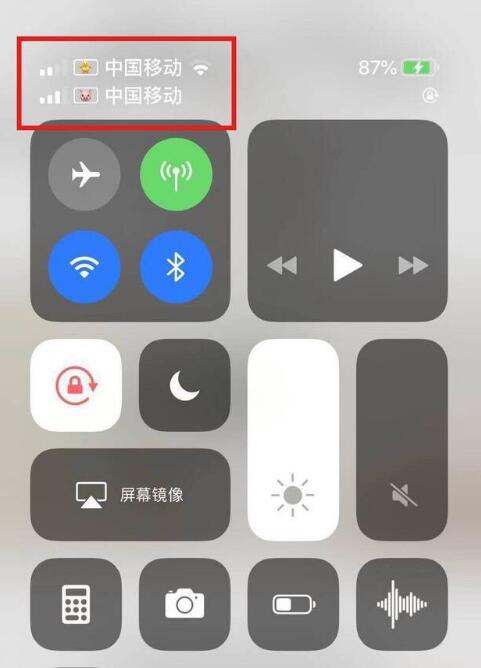 平房苹果手机维修分享为 iPhone 12 双卡设置标签 